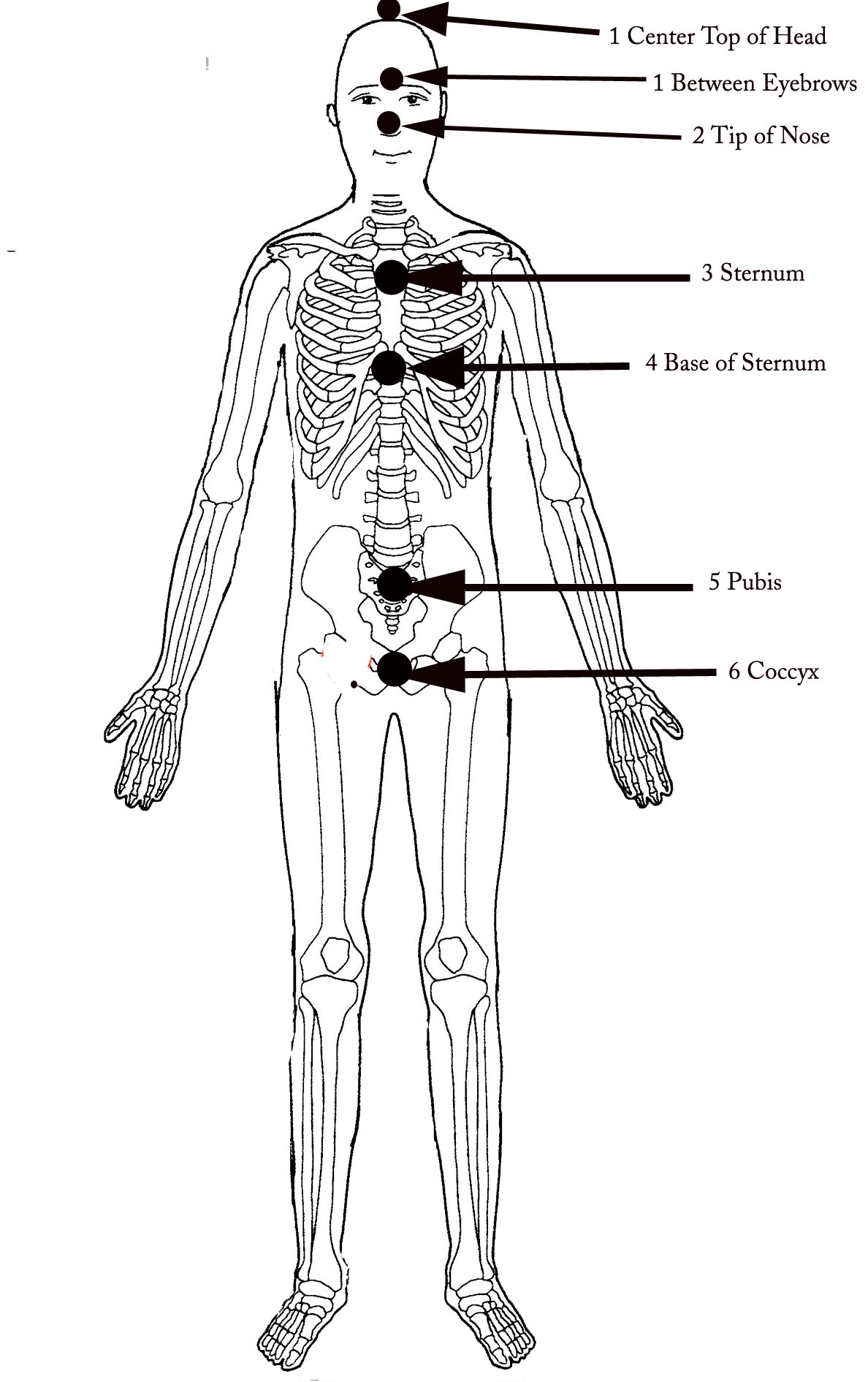 main-central-english